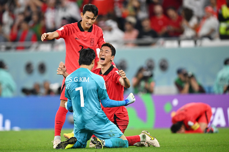 日韓共催ワールドカップ決勝戦で配られたポンチョ ポンチョボール 白 2002 FIFA WORLD CUP KOREAJAPAN - メルカリ