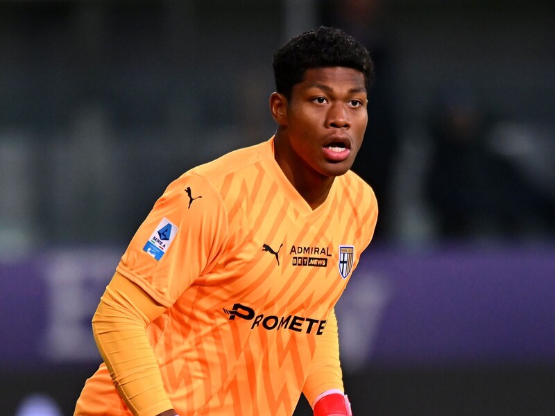 【BeautifulDreamer514】AURALEE シアサッカー BeautifulDreamer514】AURALEE シアサッカー BeautifulDreamer514