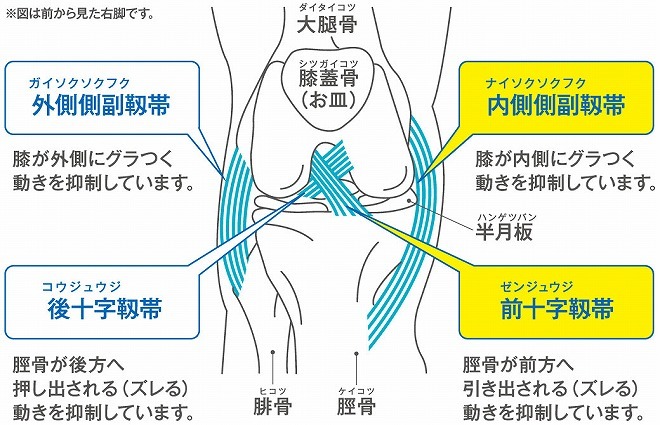 ない そく そく ふく 靭帯 損傷