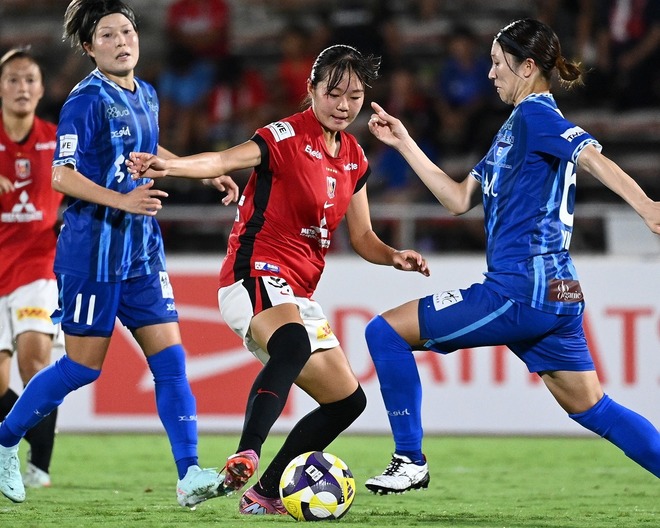 浦和レッズレディースマッチデーミニガーランドNo.34平川陽菜選手